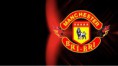 /album/fotogaleria/wallpapers-manchesterbribri-12-jpg/